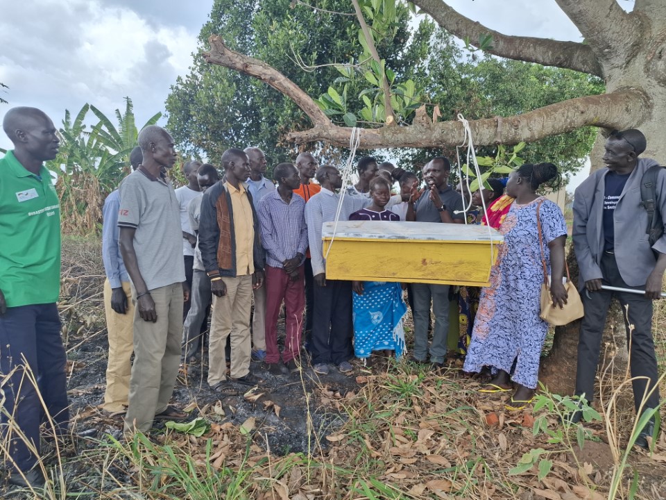 Yei, Magwi communities tap honey value chain for growth