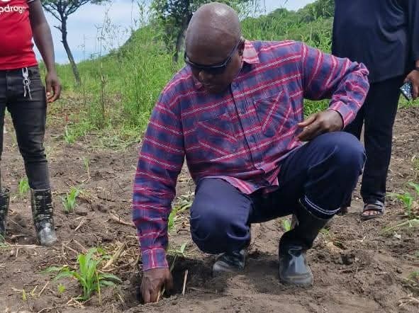 Governor seen farming as State urges shift toward self-reliance