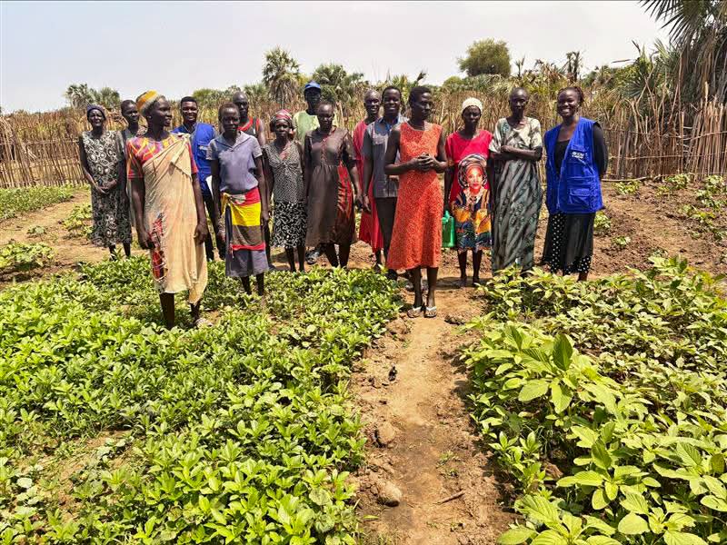 $8.5 million climate project launched to tackle Bor flood crisis