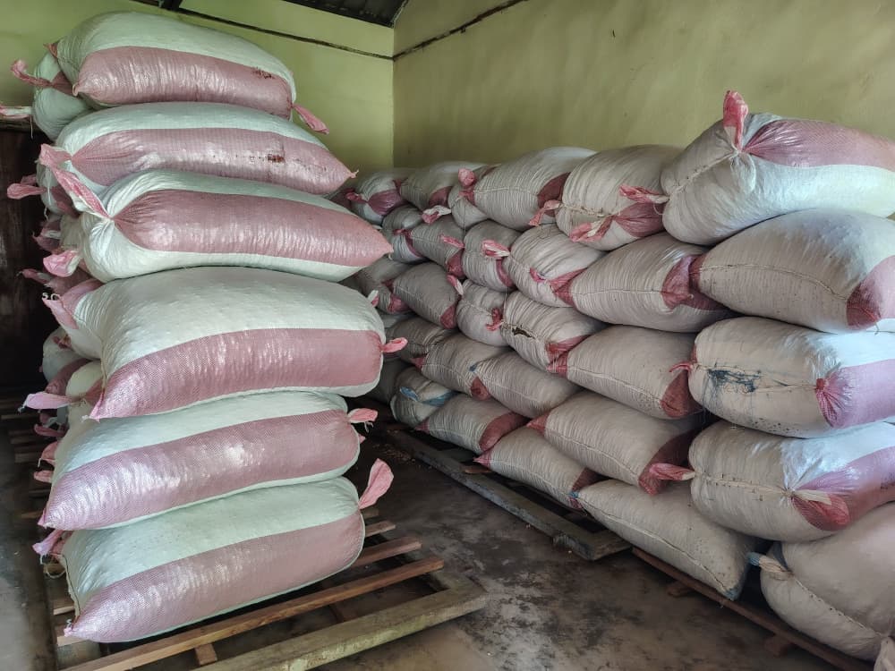 Yei and Magwi farmers receive climate resilient seeds to tackle low yields