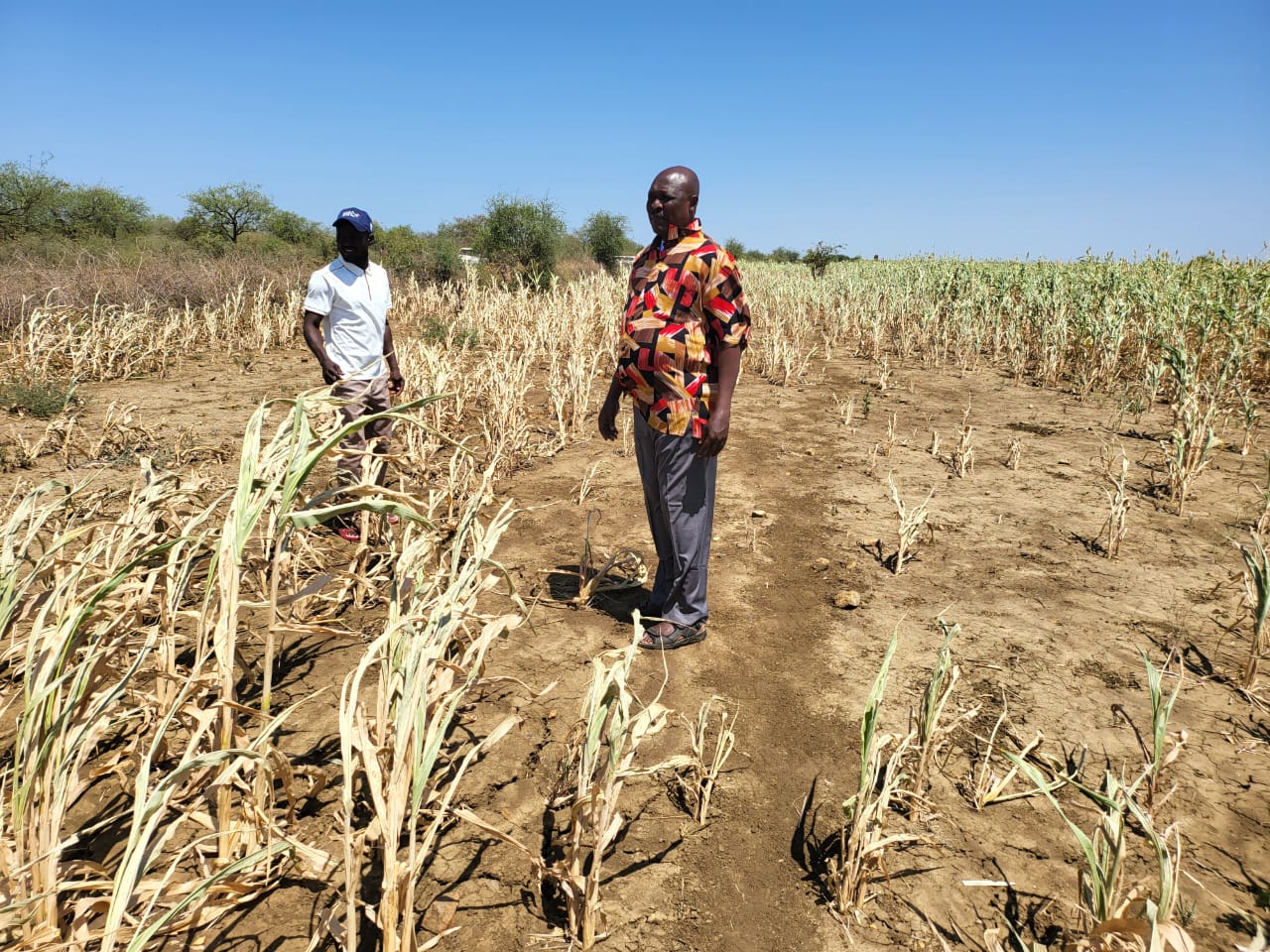 Lobong calls for emergency response as drought ravages Eastern Equatoria